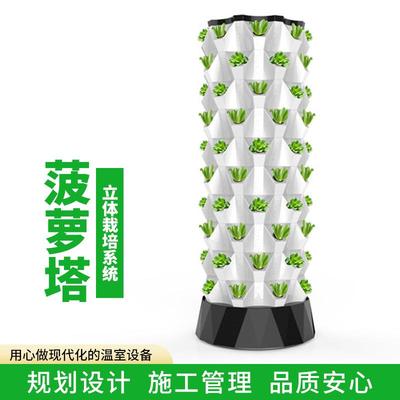 菠萝塔植物无土栽培设施立体栽培系统种植设备雾培立体种植设施