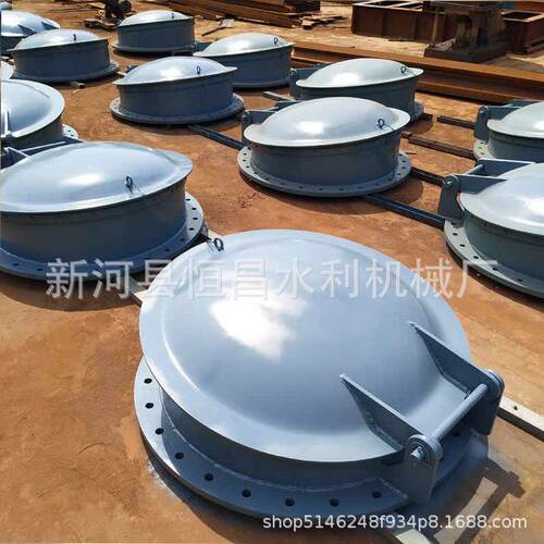 DN600-pm0.6m圆形铸铁拍门钢制玻璃钢闸门启闭机60KN