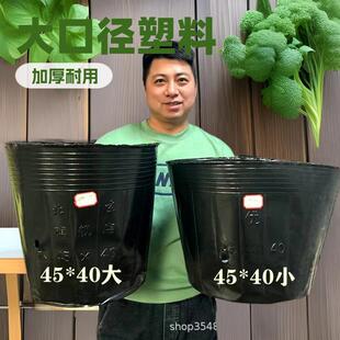 天麻种植桶天麻专用营养钵45*40育苗黑色塑料加厚袋大号种植容器