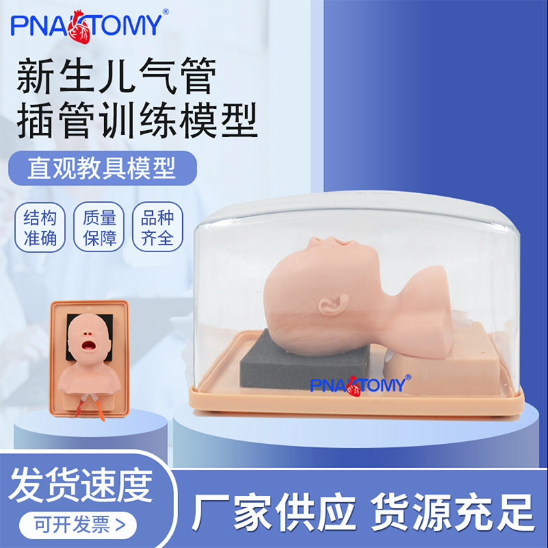 新生儿气管插管训练模型婴儿模拟人护理教学培训教具仿真模型