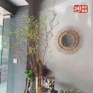 龙柳鲜枝水养雪F87ST8SH柳干枝枝花花插花树银柳摆件室真内干花束