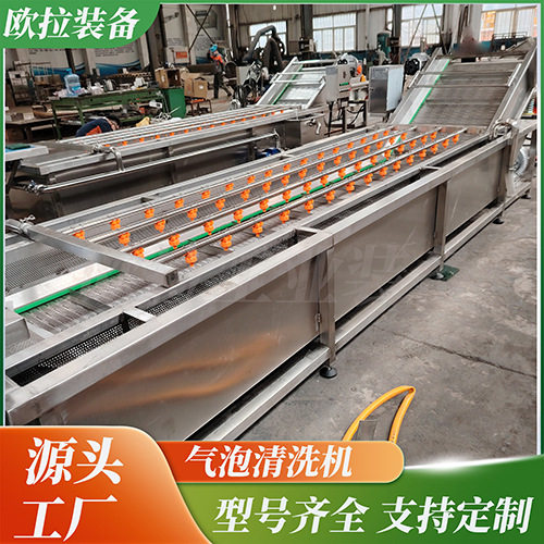 不锈钢气泡清洗选设备水产加工清洗机商用果蔬清洗加工流水线