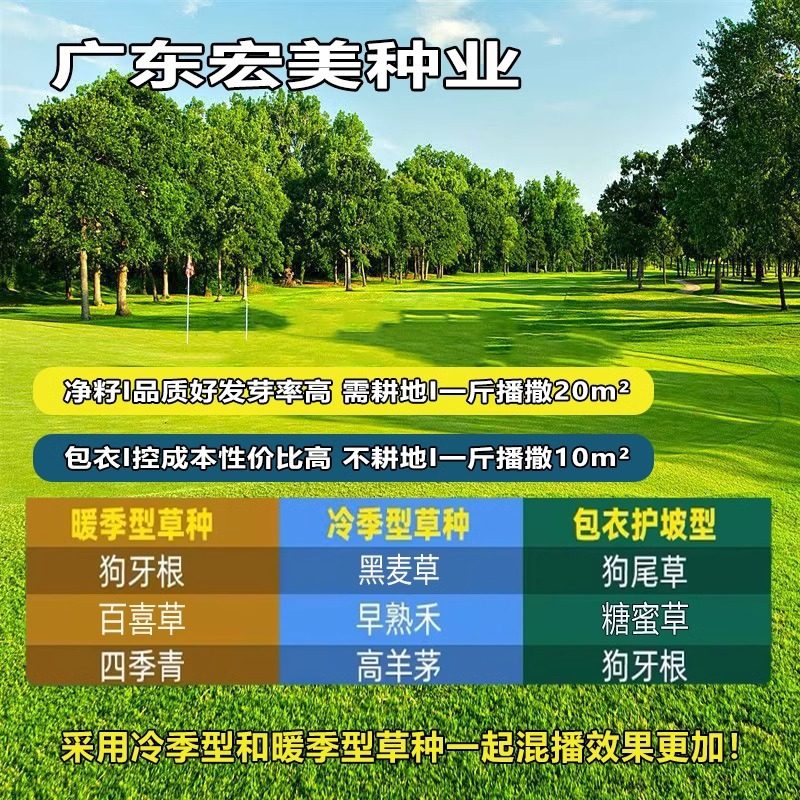 狗牙根脱壳净籽生长快速边坡固土耐旱草籽四季常青绿化草坪种子