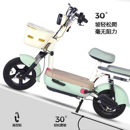 新国标电动式车电瓶自车行车助TDT6139Z力生女小型高续航电车女成