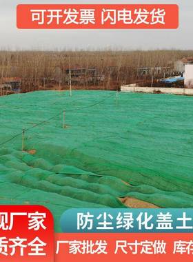 建筑工地盖绿裸化覆网盖绿化土遮盖网绿色环保STM煤网盖土网防尘