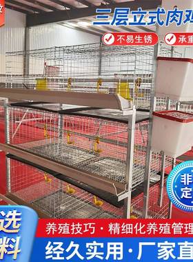 厂笼家肉鸡防锈三立式肉鸡笼殖养鸡养设层备ZRK肉鸡笼热镀锌鸡笼