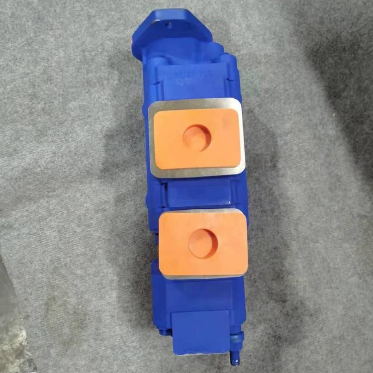 P5100-F9HLKB0TP3876/F40IT泵G齿轮液压泵