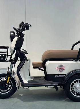 国动标CCT新款电三轮车老年人代士步接送孩子小型女家用动三轮电