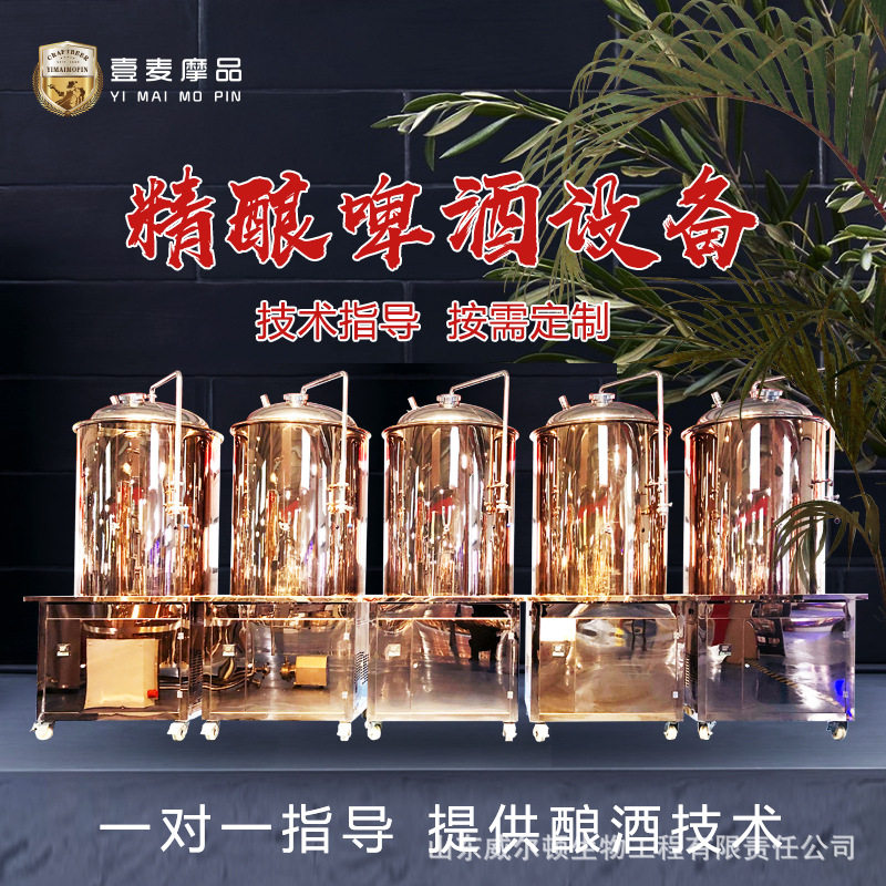 小型酿造啤酒设备 精酿啤酒灌装机械 啤酒精酿酿造机器 送技术