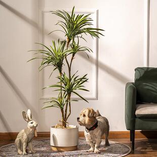 网红仿真七彩马尾铁龙血树假树盆栽客厅塑料花卉落地植物装饰摆件