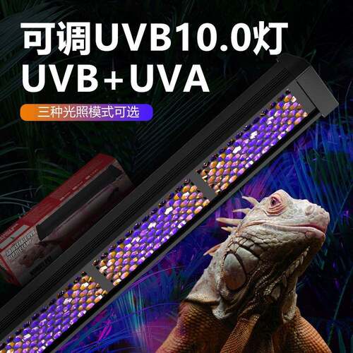 可调爬宠UVB灯长条晒背灯饲养箱防逃网灯乌龟蜥蜴守宫陆龟