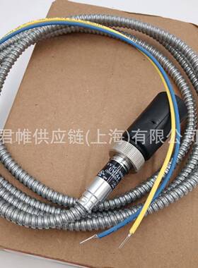 .FIREYE火焰探测火检探头检测器MEP304编程器