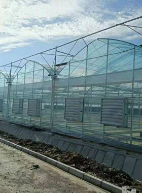 栋连薄膜温室大棚外遮内阳温农业大棚保园林花卉草莓OTX连栋棚