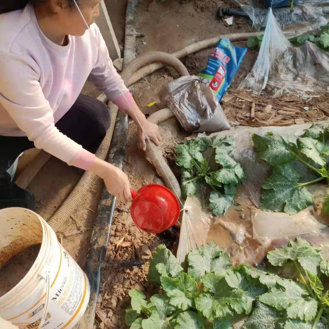 勇猛活益素微量元素全水溶海藻精矿源黄腐酸生根膨果上色