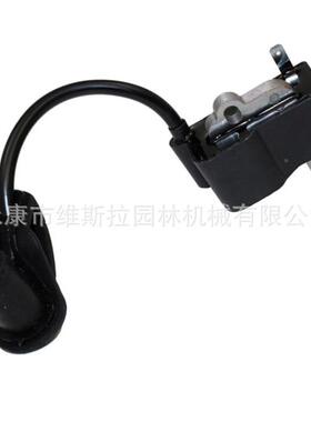 BR50BR5XKB50B线R600高压包点火模块0点火圈