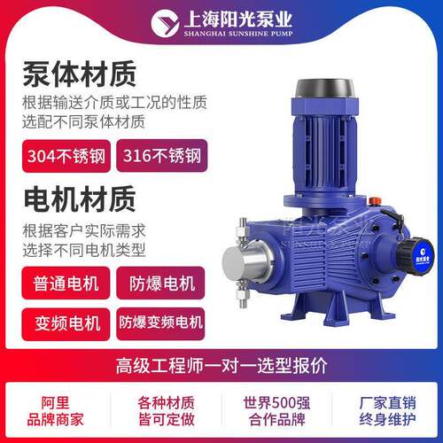 D-21ZR型柱塞式计量泵计Z量泵加计药计量泵化工量泵厂家