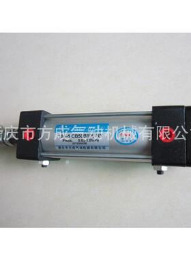 肇庆方成供应气缸10A-5CB50B100-RY气缸10A-5VFA除尘气缸