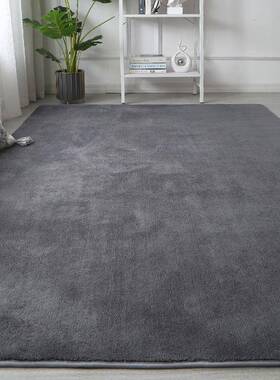 现代简约纯色地毯客厅灰色沙发茶几垫素色百搭家用卧室床边大地毯