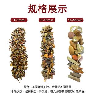 原生鱼溪流沙造景缸造底沙龟缸然溪流石砂水草缸天雷龙鱼47乌龟景