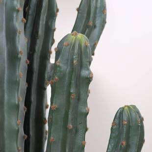 北欧风真仙人掌龙神柱仿真仙人仙物人掌盆栽室内摆家居装饰件仿仿