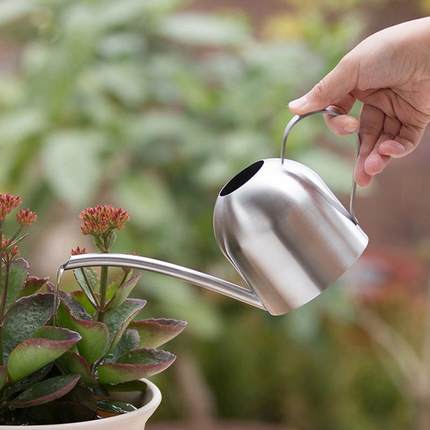 不锈钢浇花洒壶艺用品水壶嘴绿植养花室内长1升ABP长嘴浇花园壶