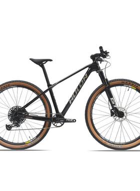 哈路达HULDA碳纤维NX12速内走线29寸山地车成人青少年代步单车