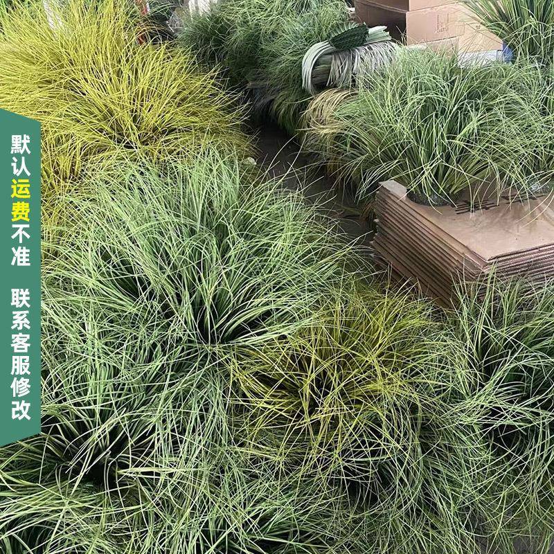 仿真草团室内绿植景观装饰仿真假草灌木草草垛草圈摆件创意