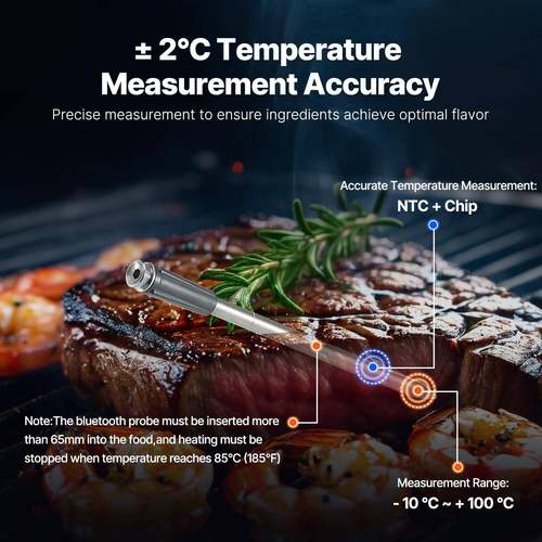 品新家用肉类探温对针西餐厅派可放鸡烤箱牛排肉煎炸烧烤温JX168