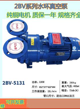水环真空泵 2BV2061 2070 循环水真空泵机组 真空获取泵 规格齐全