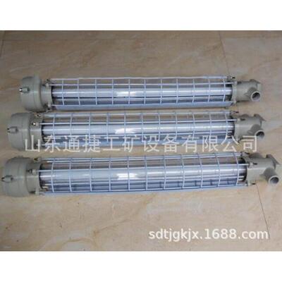 DGS24（36）/127Y矿用隔爆型荧光灯矿用DQS系列防爆荧光灯隔爆灯