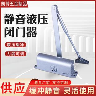 现货供应蓝雨牌静音液压闭门器防火闭门器液压缓冲闭门器