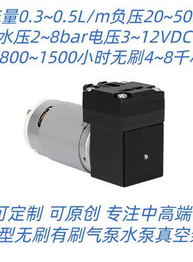 微型水泵自吸水泵直流水泵6bar压力小流量低噪音