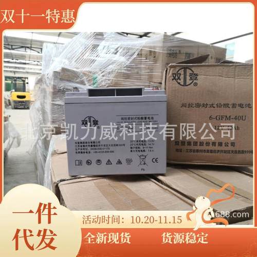 12V38AH双登蓄电池6-GFM-38通信弱电铁路基站电厂免维护直流电瓶
