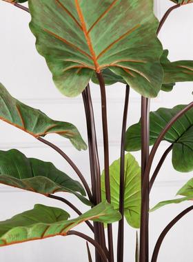 北欧仿绿植芋叶树仿真树大物型假仿植盆LD-53003栽家居真芋真叶工