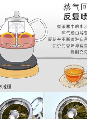 金灶煮茶壶A-99全10016自动煮茶器茶蒸汽淋喷煮茶壶家玻璃黑茶壶