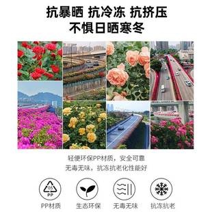 架桥塑料花EKU盆人行天桥绿长方花形蓄水高PP塑料花盆化护栏箱种