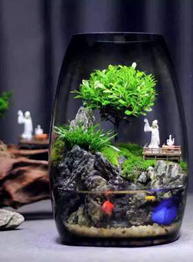 云海意微间创苔藓景观摆OEA件生桌态瓶办公室面生态缸绿植造景盆