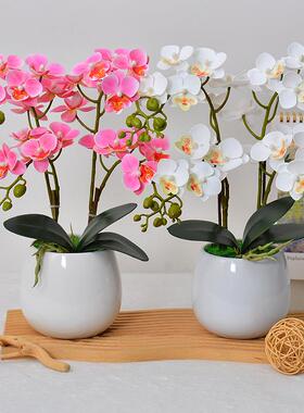 XKD仿真花小蝶兰蝴盆盆景创意室内摆件厂家供直绢花仿真栽