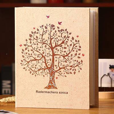 寸相册纳本插页式大容量影集56寸7寸200702张小相册影集过塑像收