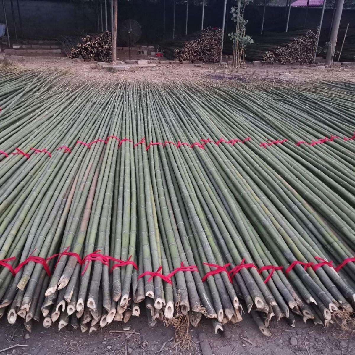 彩竹旗竹LXZ竿杆活饰动飘旗竹杆刀杆装五彩旗竿工地旗帜广告旗旗