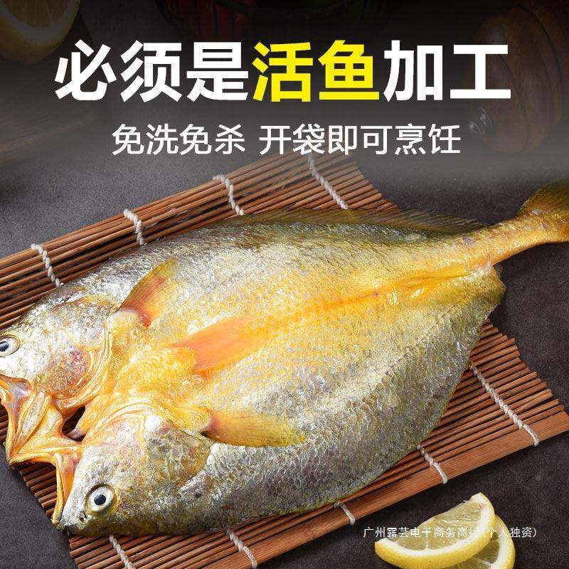 黄鱼鲞新冷冻大黄鱼鲜黄海花鱼三去生鲜宁德HAS小黄鱼鱼鲜鱼类海