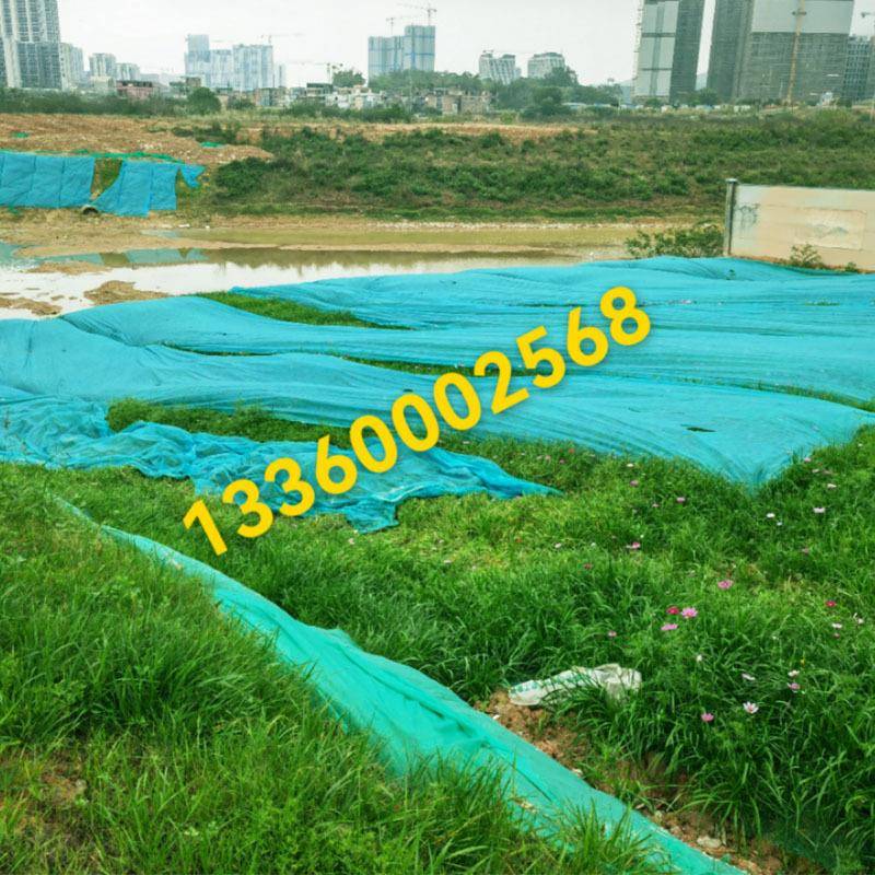 抗HDV老无化园林无绿化纺布种植用边坡绿色盖土网整布草坪护坡纺