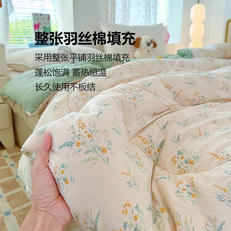 A类双纱水洗F2599201棉子冬天春层秋被被3-4斤冬被保加厚暖单人被