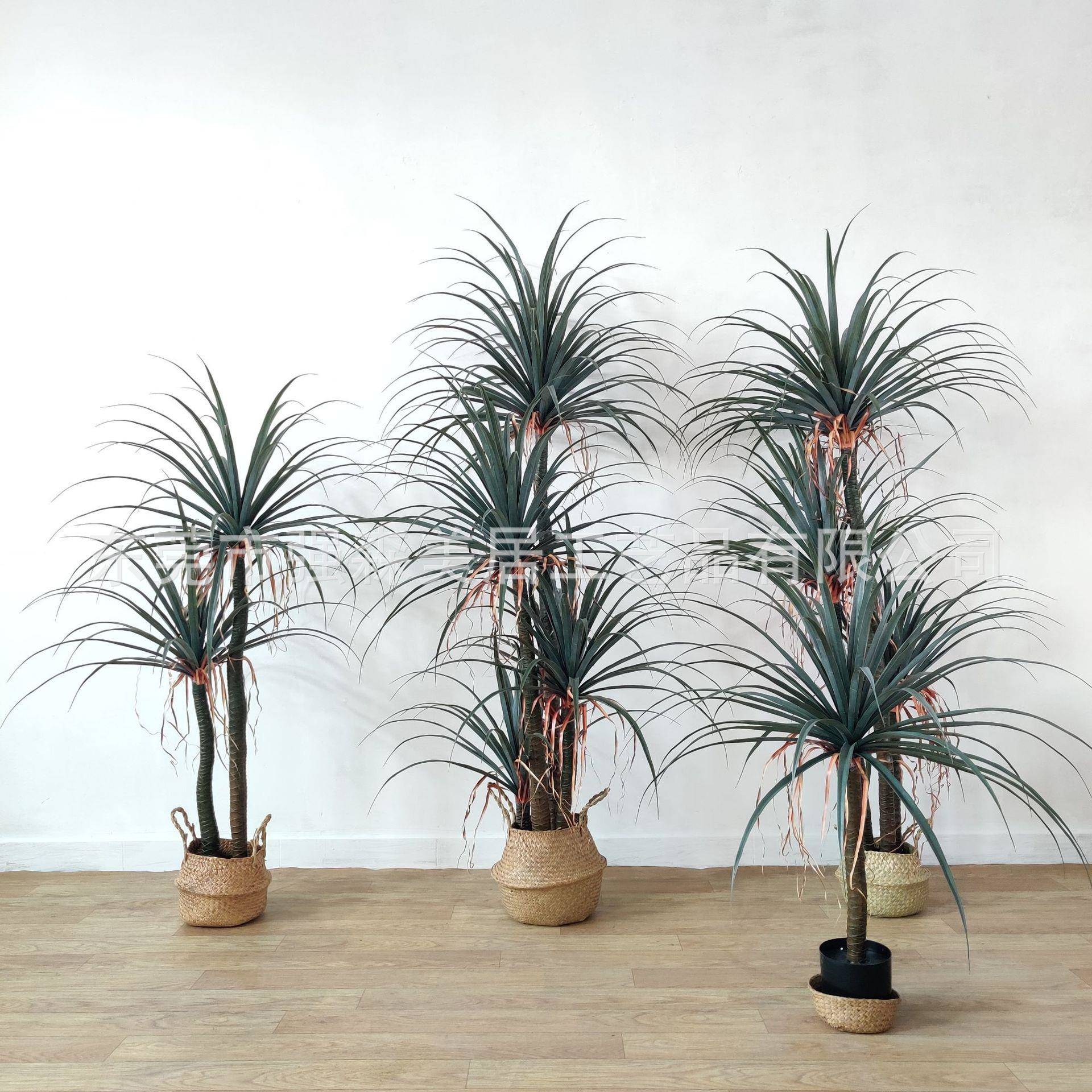 仿真植物SWF龙须型多龙血树盆栽室杆内造景装饰摆放大落树地摆件