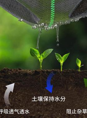 5防0g整卷草布布pp除草大棚ABG果园新型地用布农盖草布黑色遮草布