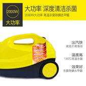 厂TCY甲家高温汽清洗蒸机高压蒸汽机清洁机熏蒸机消醛毒内饰贴车