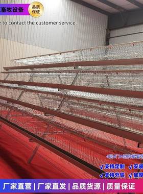 养殖笼专用养鸡笼四层四门阶养梯蛋鸡笼A型SFE镀锌工艺殖设备