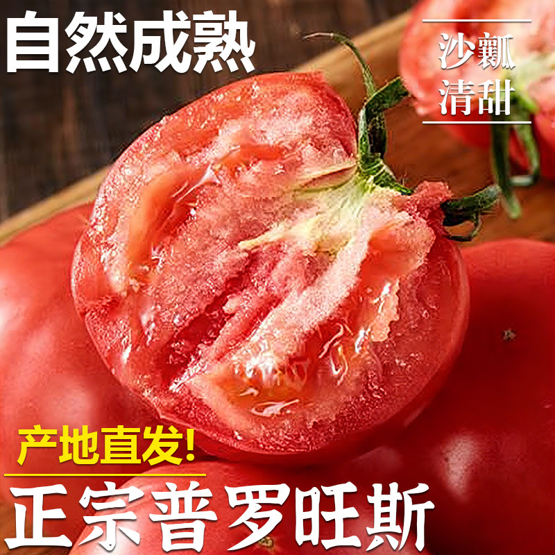 正宗新鲜采摘自然熟普罗旺斯西红柿生吃沙瓤孕妇当季番茄水果蔬菜,水产肉类/新鲜蔬果/熟食,番茄,淘宝优惠券,粉丝福利购,淘宝优惠卷