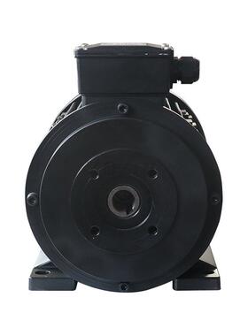 现热销三相内轴电机HS112hM2-47.5pDPX/5.5W货高压K清洗机专用