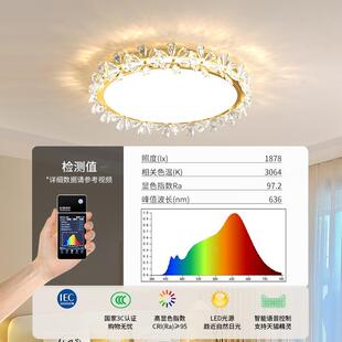 大8观园卧XWV室女灯主卧灯具现代简约水晶轻孩房间灯吸顶灯奢48